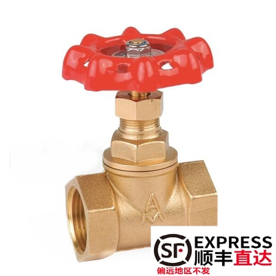 埃美柯截止止回阀301黄铜加厚双用单向止水开关水阀家用防暴总阀
