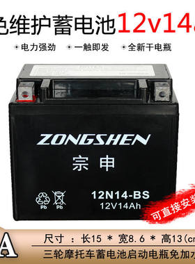 德国进口三轮机车电池12V14A32A免维护蓄电瓶宗申福田隆鑫燃油