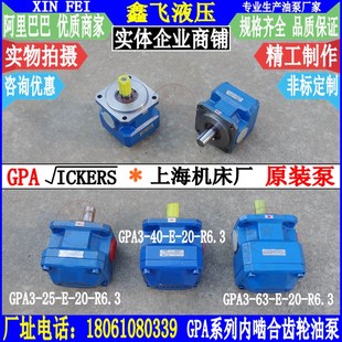 R6.3 GPA3 EK2 25内啮合齿轮油泵EK1 P磨床泵30