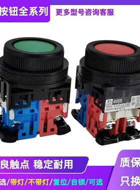 平头按钮开关AR30FOR  AR30F0R-11 10 01 G R B Y W