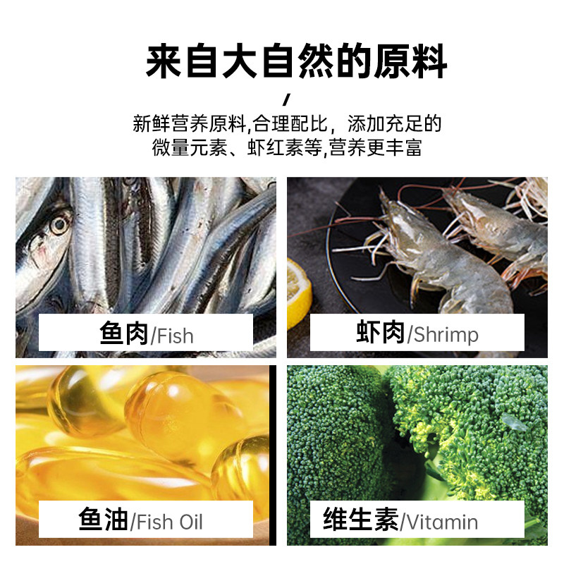 速倍妥雷龙鱼饲料阿萨姆眼镜蛇巴卡铅笔鱼七彩水产专用鱼粮小颗粒
