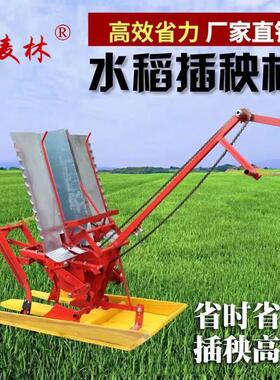 插秧机手摇式水稻新式两行插禾机小型插秧机种植机农用耕种机械