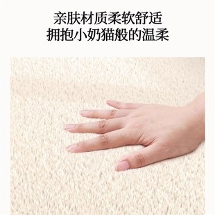 冬季 侘寂风地毯客厅2024年新款 轻D奢高级感沙发茶几毯免洗可擦地