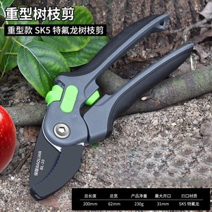 修枝剪园艺剪刀剪树枝专用剪刀园林修剪果树修枝花Y艺修花剪子