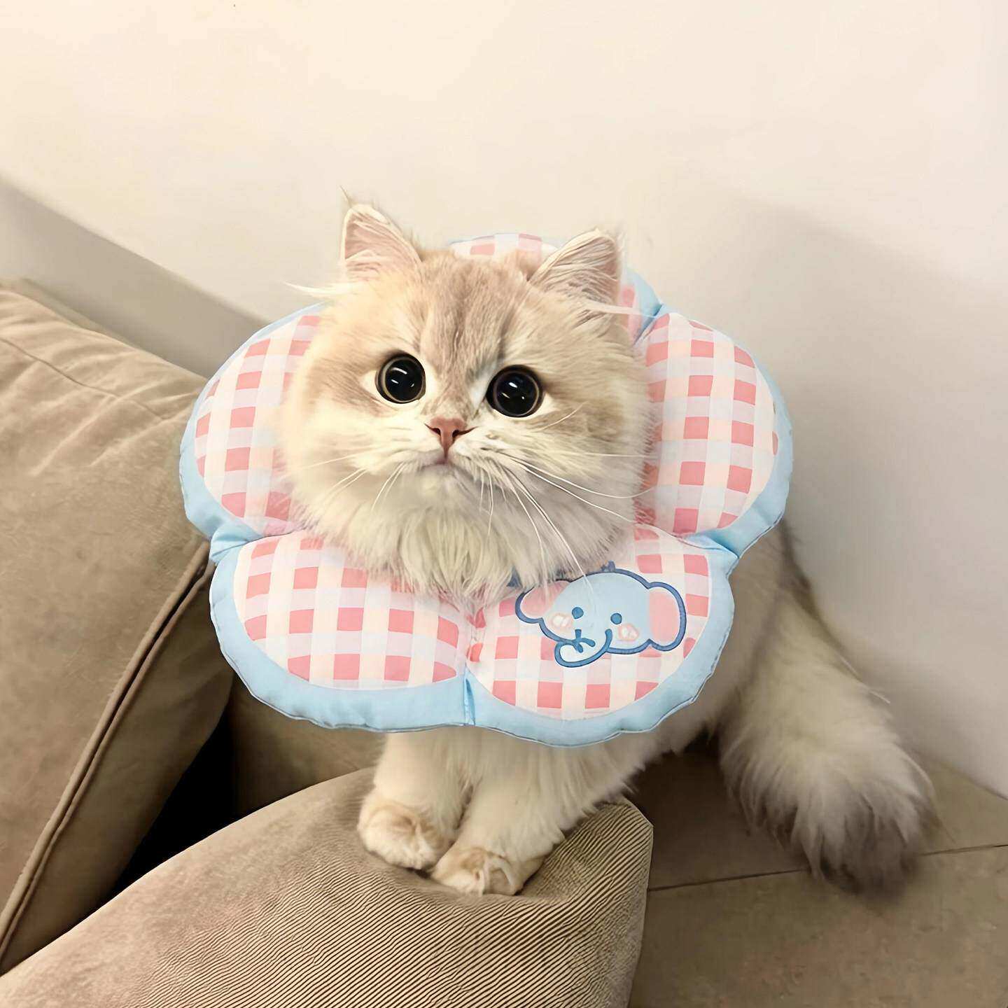伊丽莎白圈软圈猫狗头套防咬狗狗防舔神器猫咪绝育项圈宠物脖圈