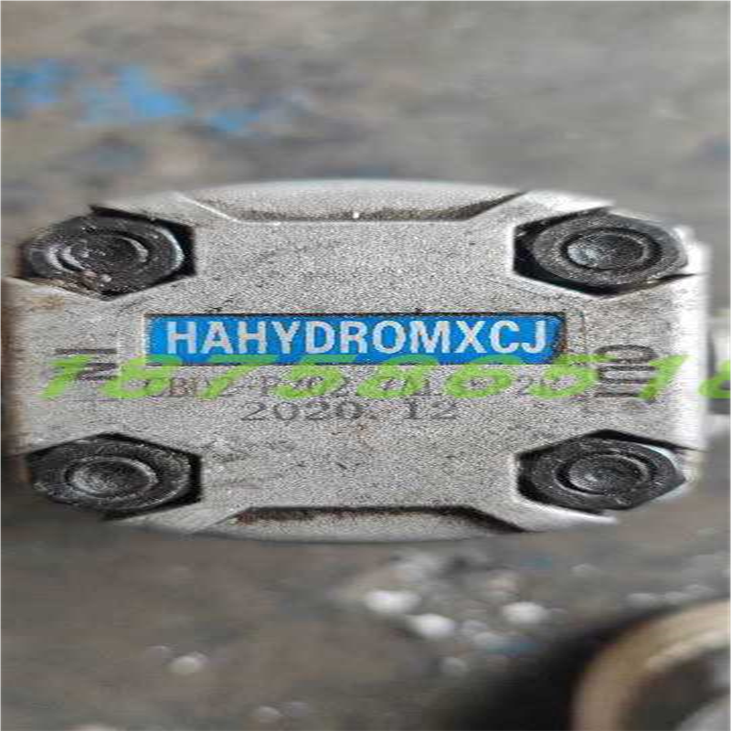 HAHYDROMXCJ液压齿轮泵CBD2-F202.7AL35P2R 动力型液压齿轮油泵