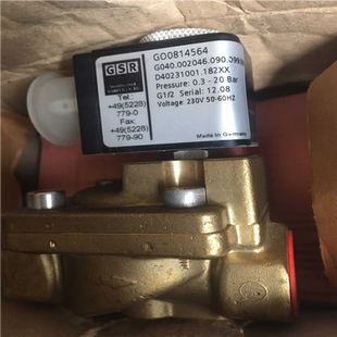 G040.002046.090. GO0814564 GSR 议价 汇生