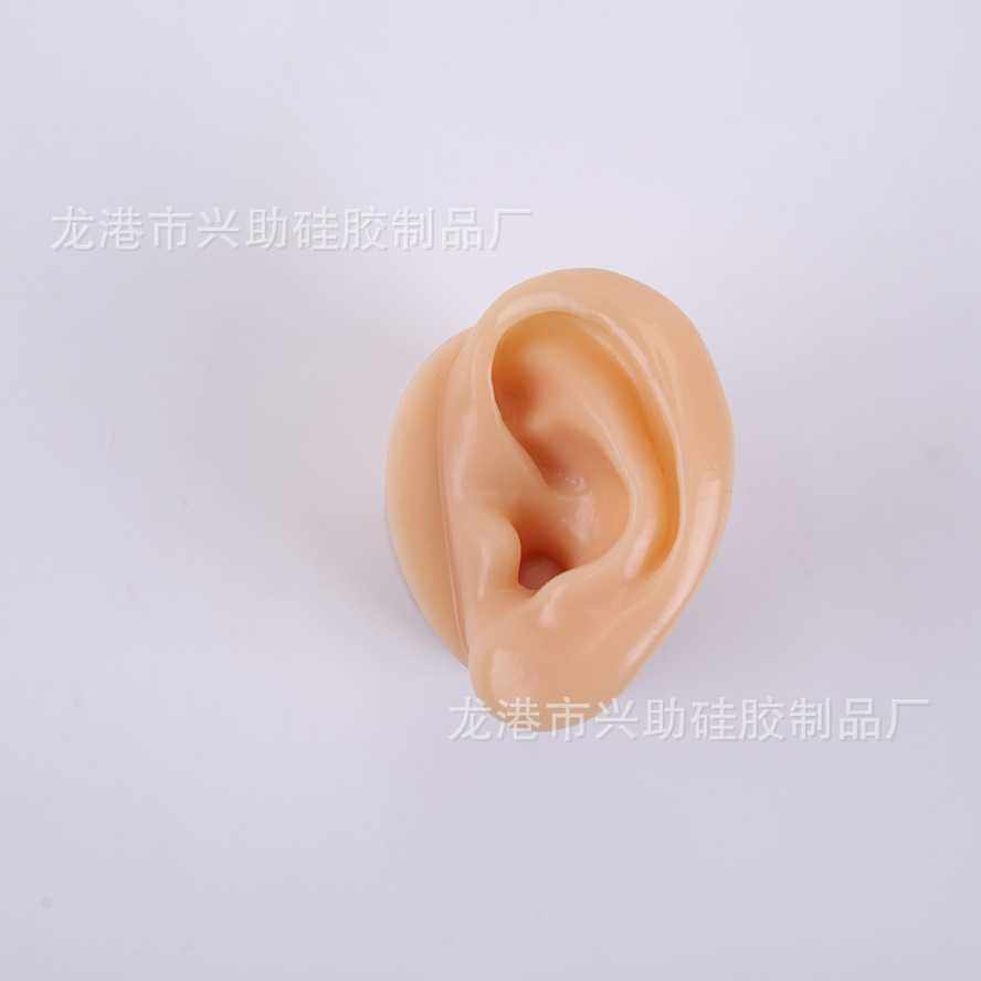 新款直销采耳模型教学耳朵模型学员长耳道仿真硅胶深耳道挖耳练习,文具电教/文化用品/商务用品,教学标本/模型,淘宝优惠券,粉丝福利购,淘宝优惠卷