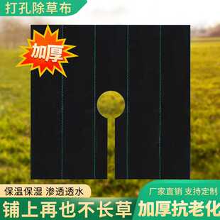 新款直销防草布除草布耐用地布果树果园农用盖草布抑草遮草布透气