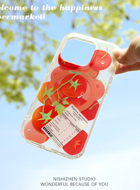 红果果IMD双层原创插画师磁吸iphone17promax苹果16pro新款磨砂手机壳适用15promax全包防摔情侣14保护套15壳