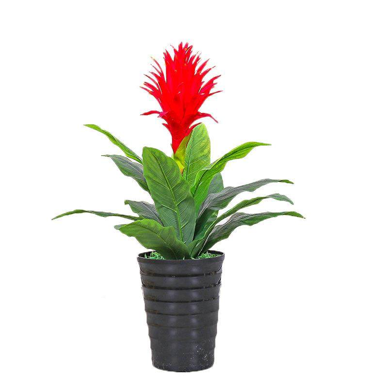 仿装真鸿运当头仿真花假室内绿植栽-客厅落地盆饰盆景婚庆花花,鲜花速递/花卉仿真/绿植园艺,仿真绿植,淘宝优惠券,粉丝福利购,淘宝优惠卷