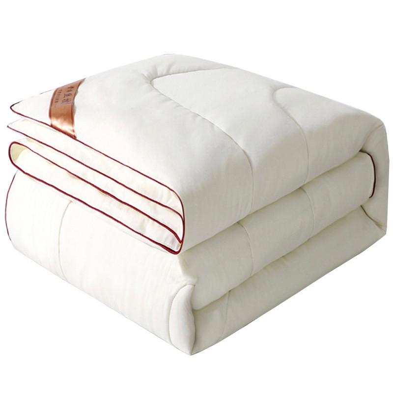 bb4c春秋四季丝棉被子被芯轻薄款批发空调夏凉冬被冬季双人秋