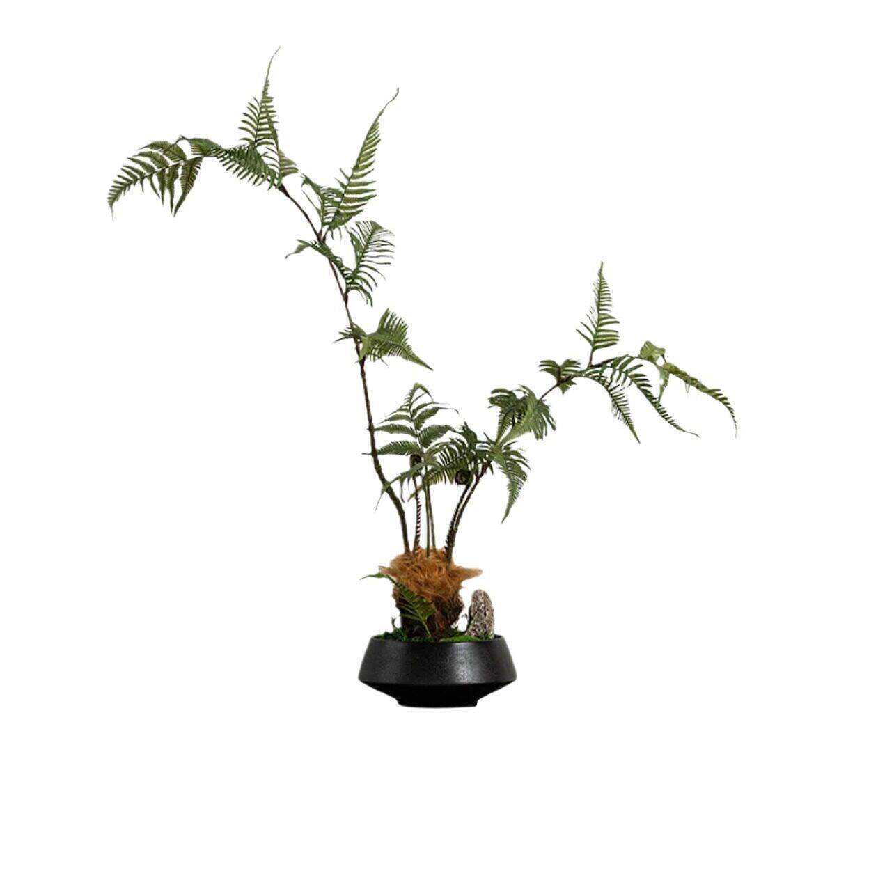 新中式仿真文竹植物景观造景花书房茶艺室案头装饰品摆件