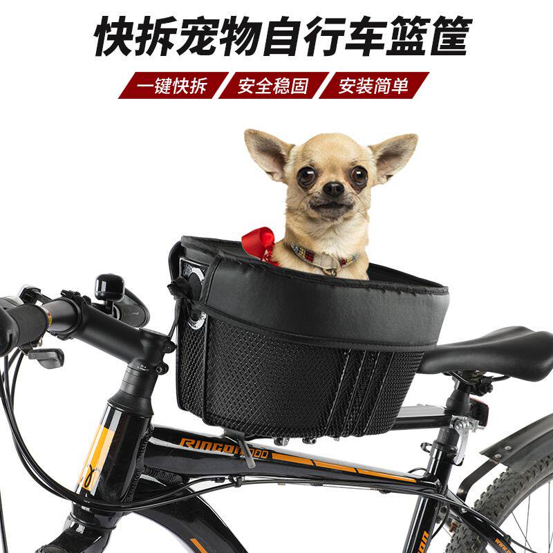 公路山地外出自行车骑行