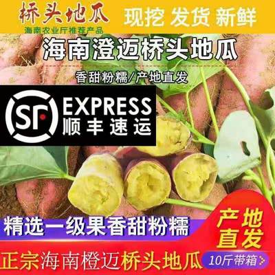 海南澄迈桥头富硒地瓜新鲜红薯桥沙板栗薯 精品果5斤10斤顺丰包邮