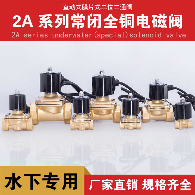 防水电磁阀 水下专用 水阀 跑泉 喷泉电磁阀3分4分6分1寸1.2寸等