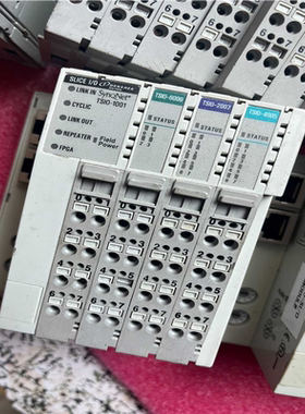 【顺庆】danaher模块韩国tsio-1001模块控制器两片，【议价】