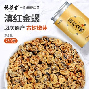 滇红茶古树蜜香金螺茶特级云南凤庆正宗老树一级红茶金锣红螺密螺