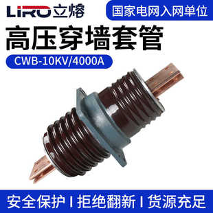 12KV高压穿墙套管CWW 2500A3000A13150A4000ACWB铜排陶 10KV
