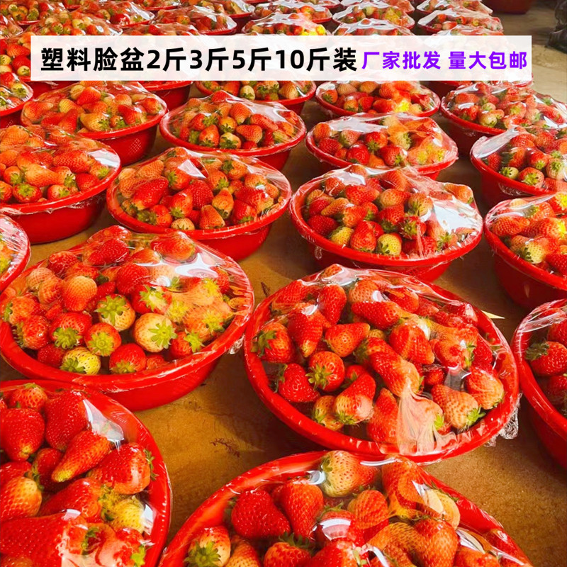 塑料脸盆2斤装3斤装5斤装10斤装草莓脸盆水果脸盆草莓盆小号 红色