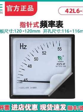 TENN天正电气 42L6-H HZ380V频率表 42L6-HZ赫兹表45-55Hz指针