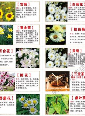 各类花茶的功效简介作用贴纸海报自粘广告图片宣传画茶叶店挂装饰