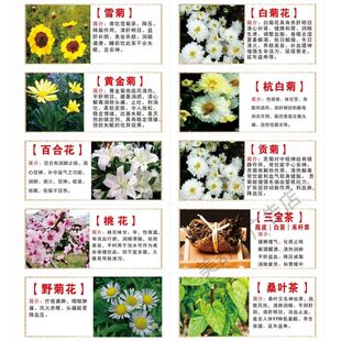 各类花茶的功效简介作用贴纸海报自粘广告图片宣传画茶叶店挂装饰