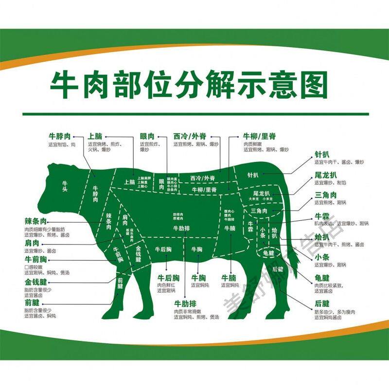 牛身体结构图牛肉部位分割切割图全牛宴海报牛肉分解图贴纸kt板牛
