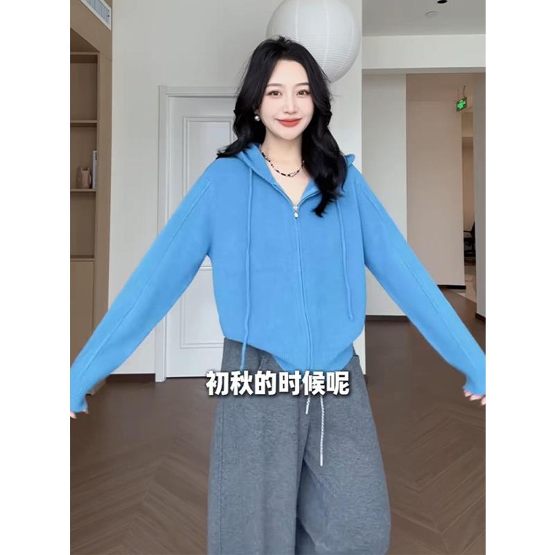 早秋韩系氛围感穿搭蓝色拉链连帽毛衣开衫外套女秋冬季针织衫上衣