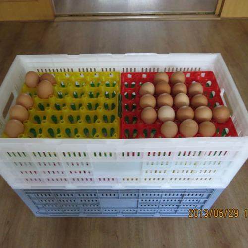 供应折叠周转箱/折叠鸡蛋箱/折叠箱塑料箱,包装,塑料周转箱,淘宝优惠券,粉丝福利购,淘宝优惠卷