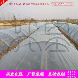 玻璃钢弹力棒菜棚塑料大棚拱棚支架保温花棚拱顶插秧育苗小竿地杆