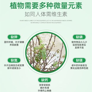 清香木肥料营养液清香木专用肥乌木胡椒木花肥盆栽香叶树有机肥绿