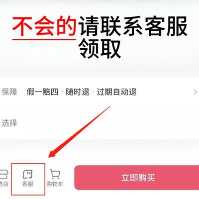 直销请出示证件 Papers Please 请出示证件盒 中文 一款像素风格