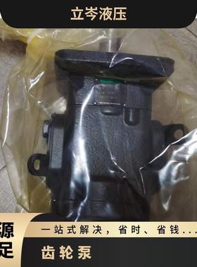 RICKMEIER瑞克梅尔 齿轮泵R35/25 FL-Z-DB-SO油泵 全新原装