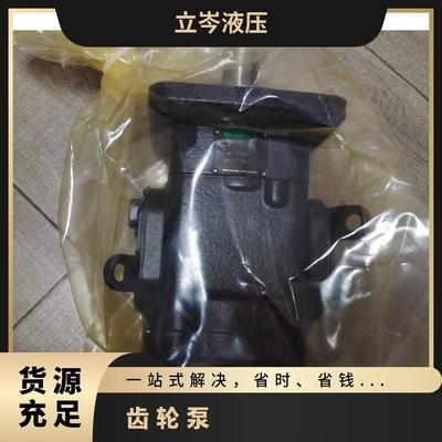 RICKMEIER瑞克梅尔 齿轮泵R35/25 FL-Z-DB-SO油泵 全新原装