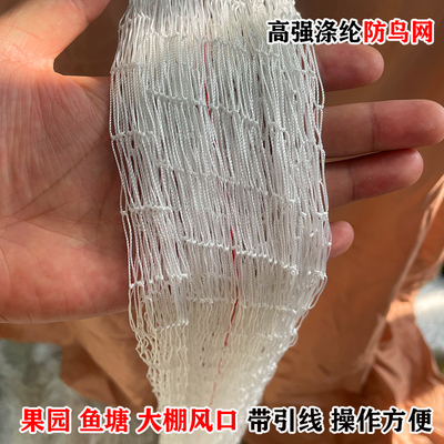 瑾漫涤纶防鸟网果园养殖耐晒天网