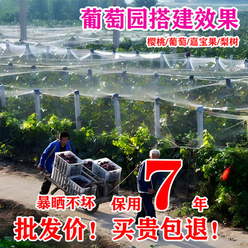 全新耐晒果树园防鸟用的葡萄天网