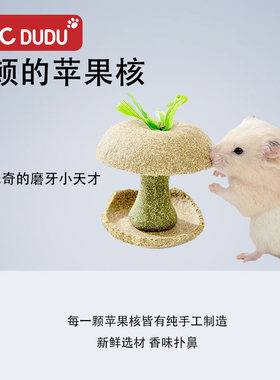 仓鼠苹果核地鼠形磨牙棒金丝熊小零食磨牙石玩具躲避屋造景用品