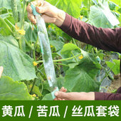 黄瓜丝瓜苦瓜套袋专用袋蔬菜水果套袋套果袋果蔬套袋防虫保护袋