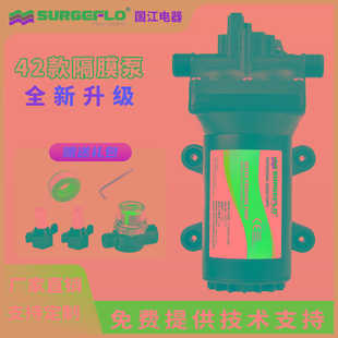 隔膜泵220v家用交流增压自吸泵静音电动抽水高压力泵 全新42升级款