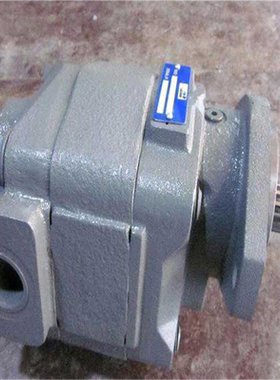 METARIS麦塔雷斯P30A294BEMP1030-MG110齿轮泵进口原装