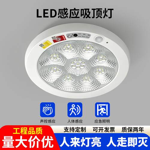 LED吸顶灯红外人体感应声控楼道