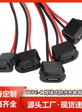 TYPE-C2P注胶母座 直压式 台灯椭圆充电口 电动车 汽车usb连接器