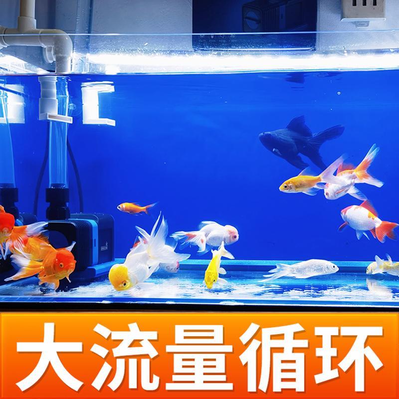 新款森森鱼缸循环泵变频水泵静音超底吸潜水泵水族箱抽水泵鱼包邮