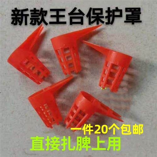 育王台基 王台防护罩 王台防咬保护罩 蜂王保护罩 王笼王台罩蜂具