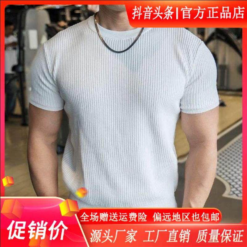 禾木轻奢严选咖色圆领针织短袖毛衣男夏高级感弹力修身半袖打底衫