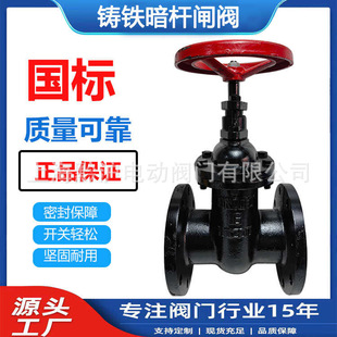 Z41T-10/16Q明杆闸阀 铸铁法兰铜芯闸阀 DN50 65 80 100 200 300