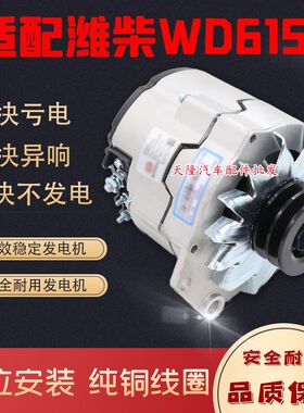 适用柳工晋工龙工徐工常林50装载机铲车潍柴WD615德龙F3000发电机