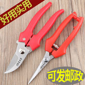 剪刀 省力树枝修剪花 修枝剪子葡萄摘果剪 园林果树剪刀粗枝花剪