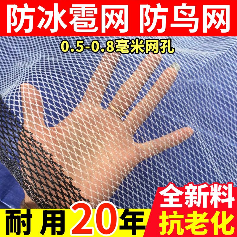 防冰雹网果园防雹网防鸟网全新料抗老化农用网无结网果园网防护网